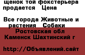 щенок той-фокстерьера продается › Цена ­ 25 000 - Все города Животные и растения » Собаки   . Ростовская обл.,Каменск-Шахтинский г.